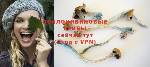 дмт Заволжск