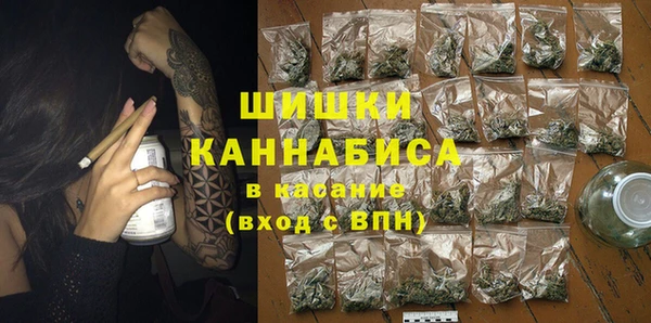 молекула духа Заводоуковск