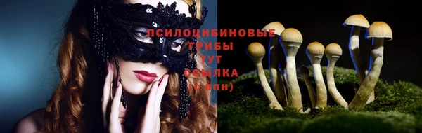 молекула духа Заводоуковск