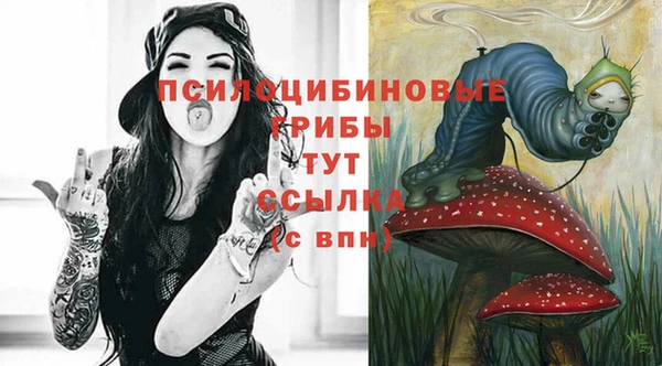 молекула духа Заводоуковск