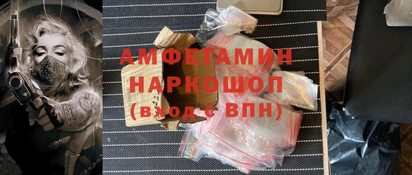 молекула духа Заводоуковск