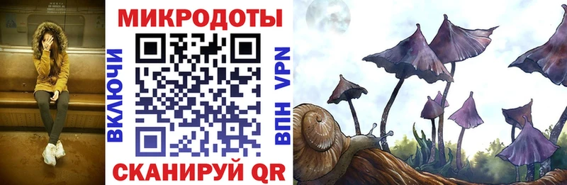 Купить закладки  Мыски  Псилоцибиновые грибы Magic Shrooms 